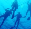 antropoti diving croatia